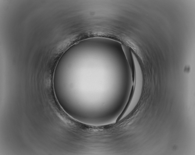 X0000090960401200708161819
