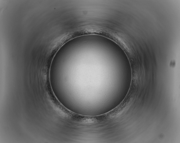 X0000090960402200708161819