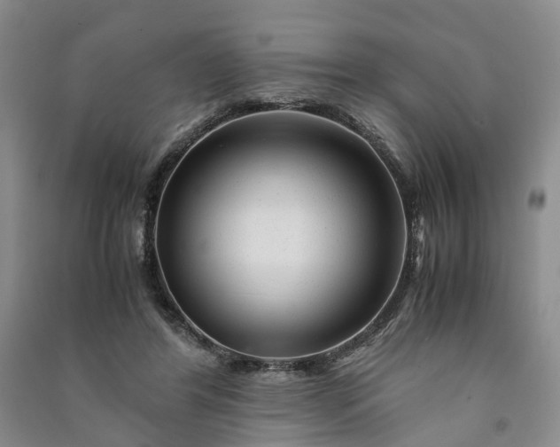X0000090960404200708161819