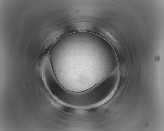 X0000090960405200708161819