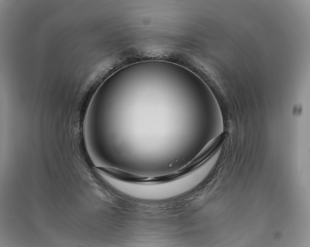 X0000090960407200708161819