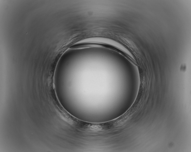 X0000090960409200708161819