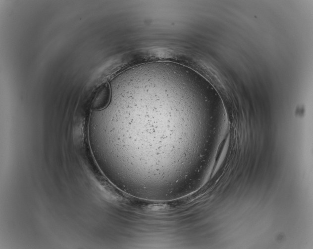 X0000090960410200708161819