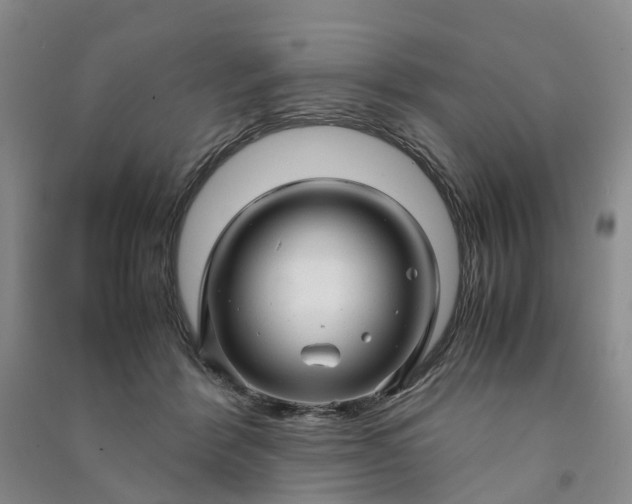 X0000090960412200708161819