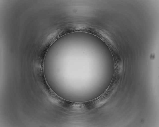X0000090960415200708161819