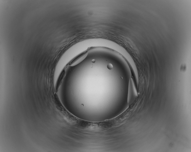 X0000090960416200708161819