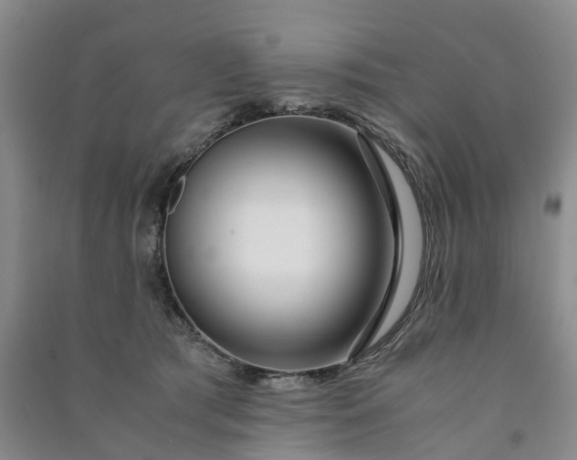 X0000090960417200708161819