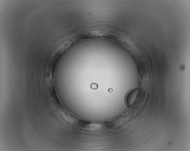 X0000090960418200708161819