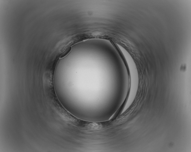 X0000090960421200708161819