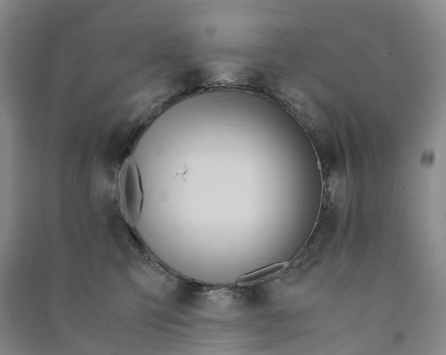 X0000090960423200708161819