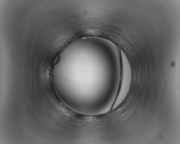 X0000090960424200708161819