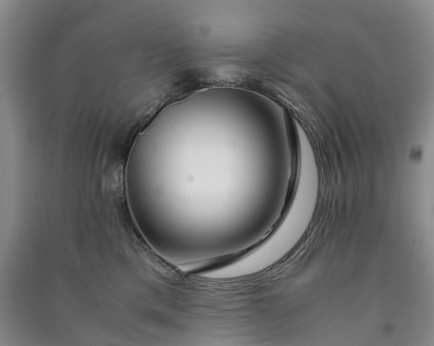 X0000090960425200708161819