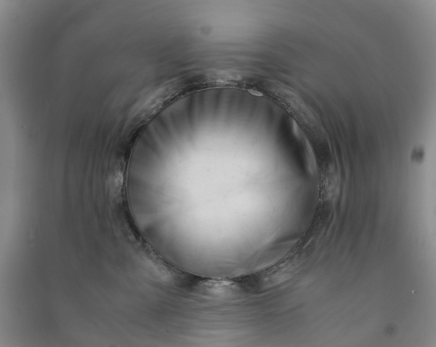 X0000090960427200708161819