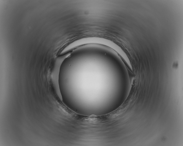 X0000090960428200708161819
