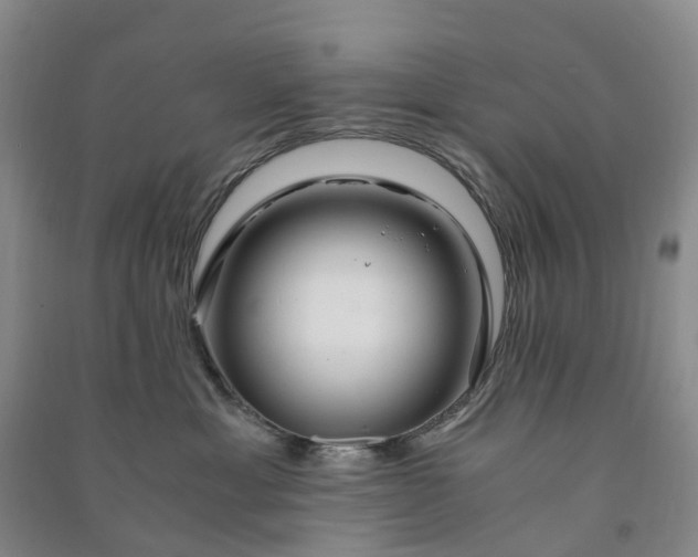 X0000090960429200708161819