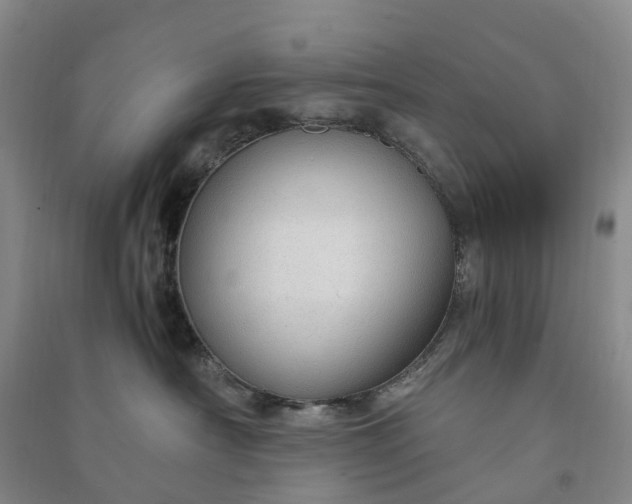 X0000090960430200708161819
