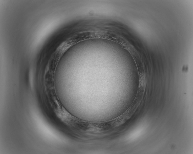 X0000090960431200708161819