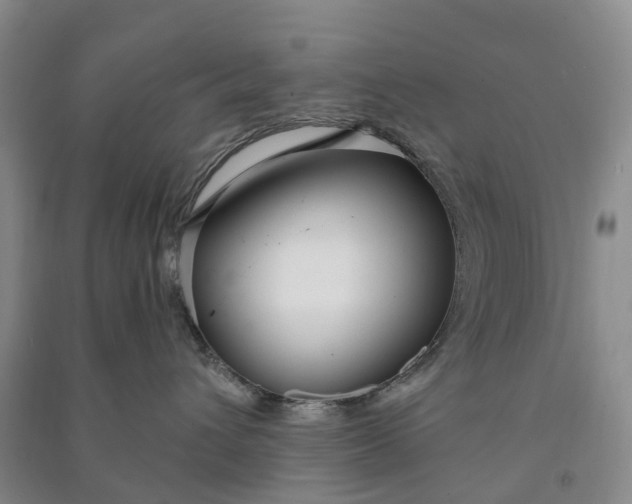 X0000090960432200708161819