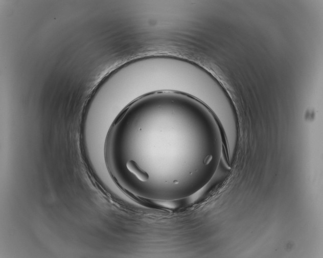 X0000090960434200708161818