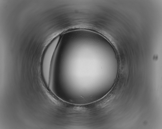 X0000090960437200708161818