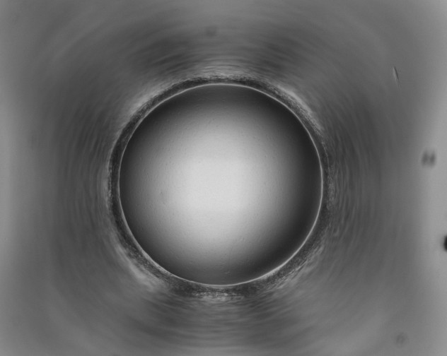 X0000090960439200708161819