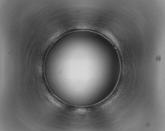 X0000090960441200708161819