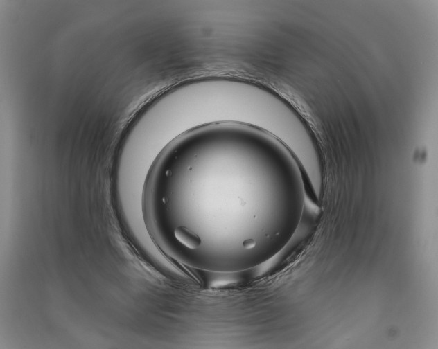 X0000090960442200708161819