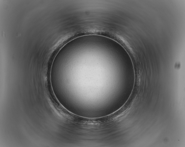 X0000090960443200708161819