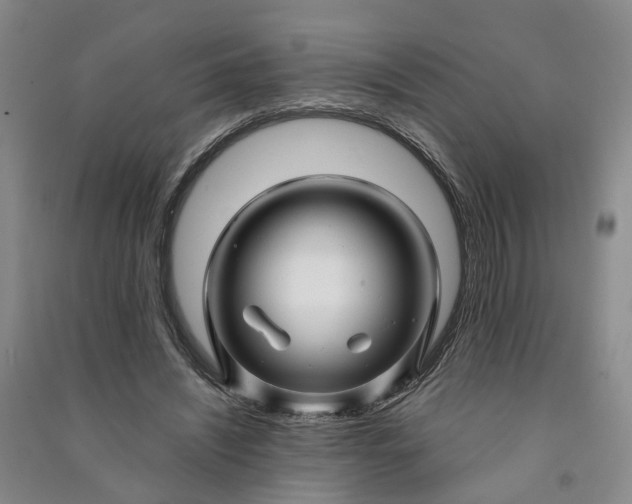 X0000090960444200708161819