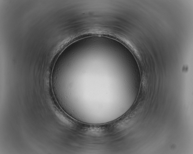 X0000090960445200708161819