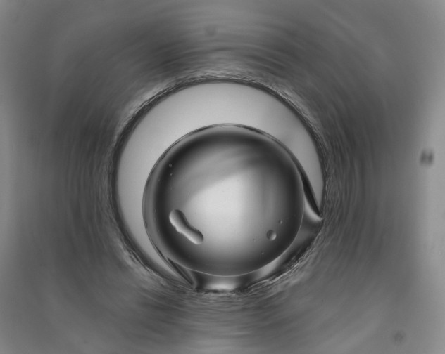 X0000090960446200708161819