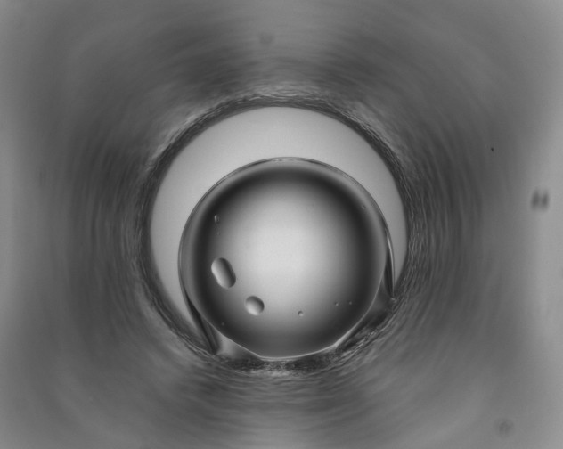 X0000090960448200708161819