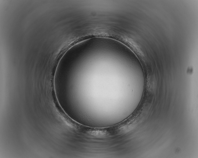 X0000090960449200708161819