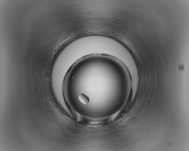 X0000090960450200708161819