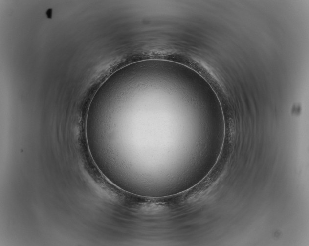 X0000090960451200708161819