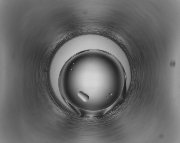 X0000090960452200708161819