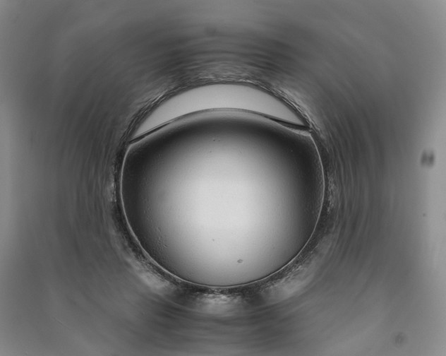 X0000090960453200708161819