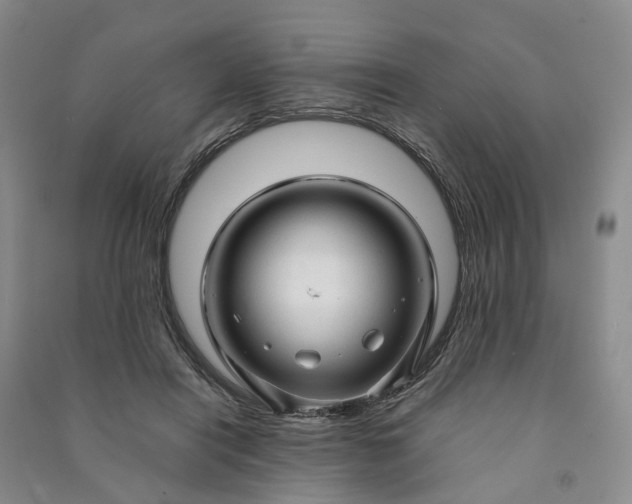 X0000090960454200708161819
