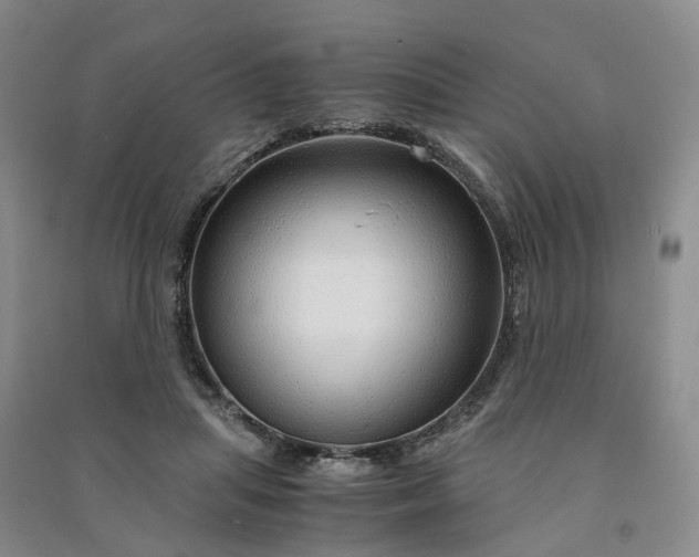 X0000090960455200708161819