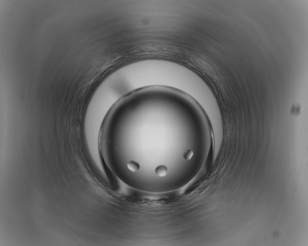 X0000090960456200708161819