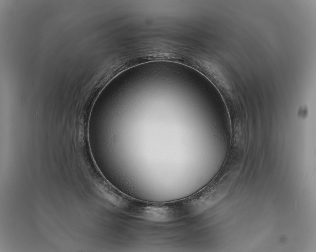 X0000090960457200708161819