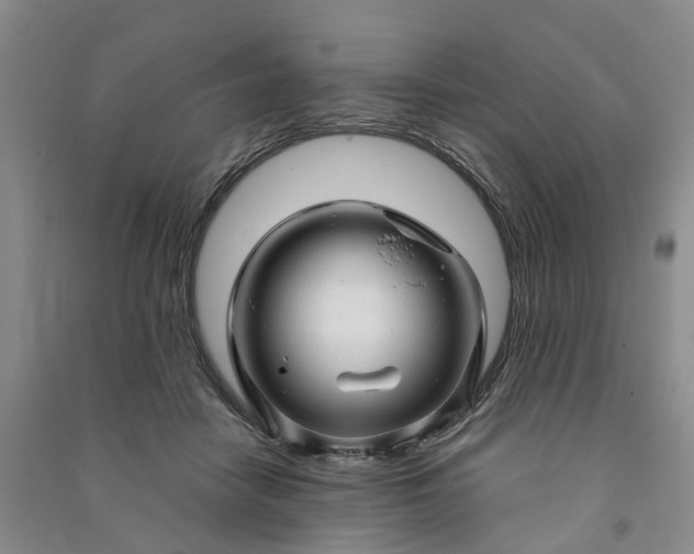 X0000090960458200708161819