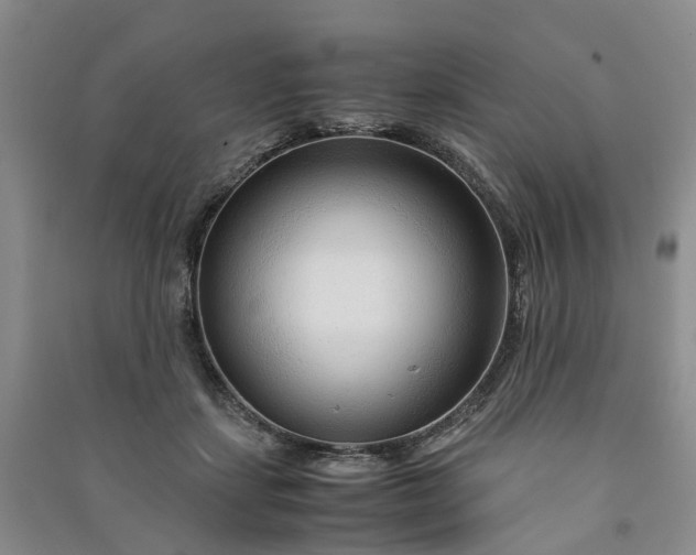 X0000090960459200708161819