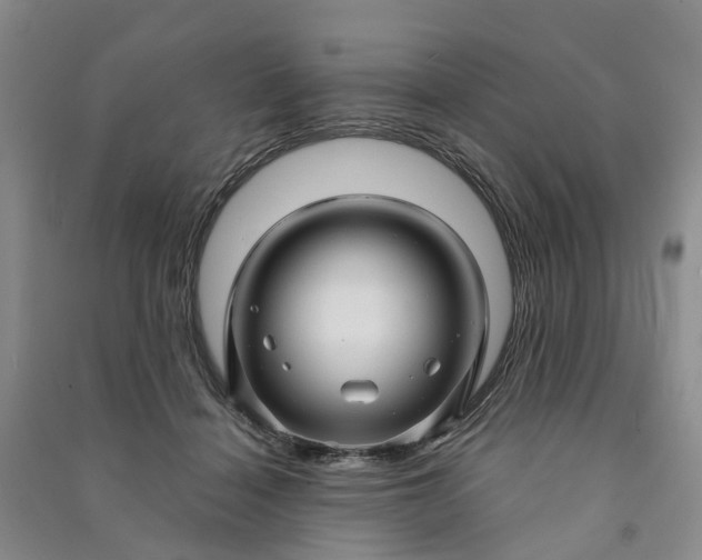 X0000090960460200708161819