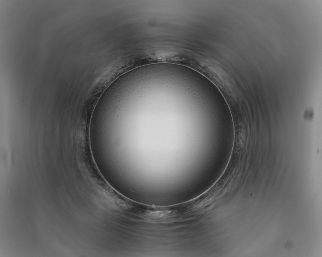 X0000090960461200708161819