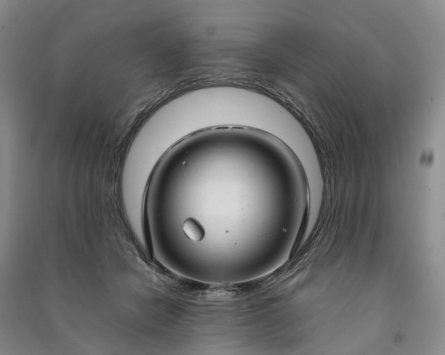 X0000090960462200708161819