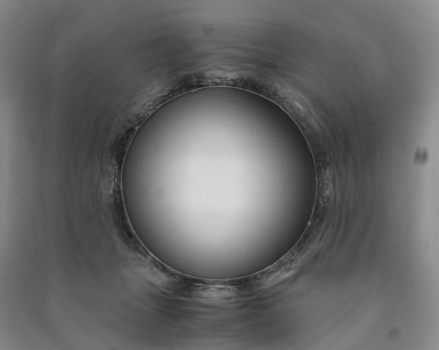 X0000090960463200708161819