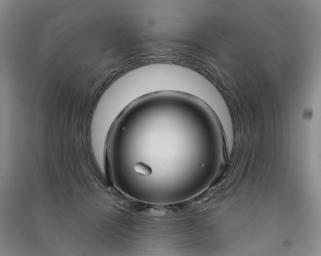 X0000090960464200708161819