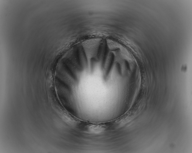 X0000090960465200708161819