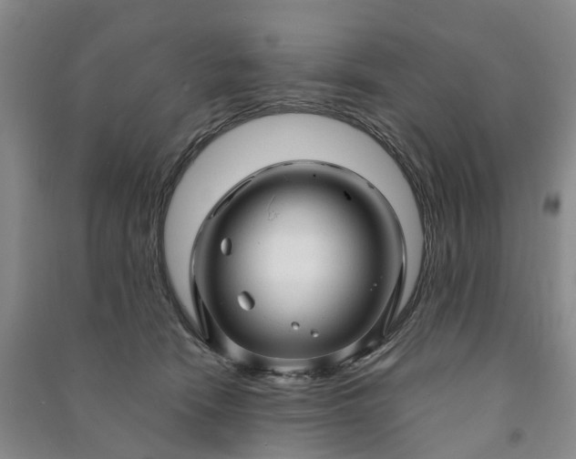 X0000090960466200708161819